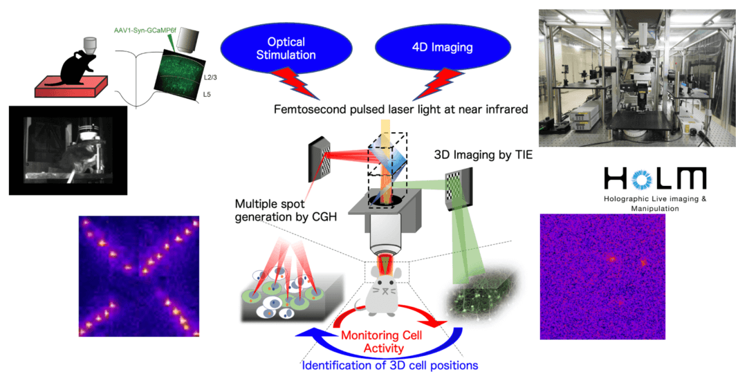 Concept of Holographic Live Imaging & Manipulation Microscope (HoLM) and its photograph.