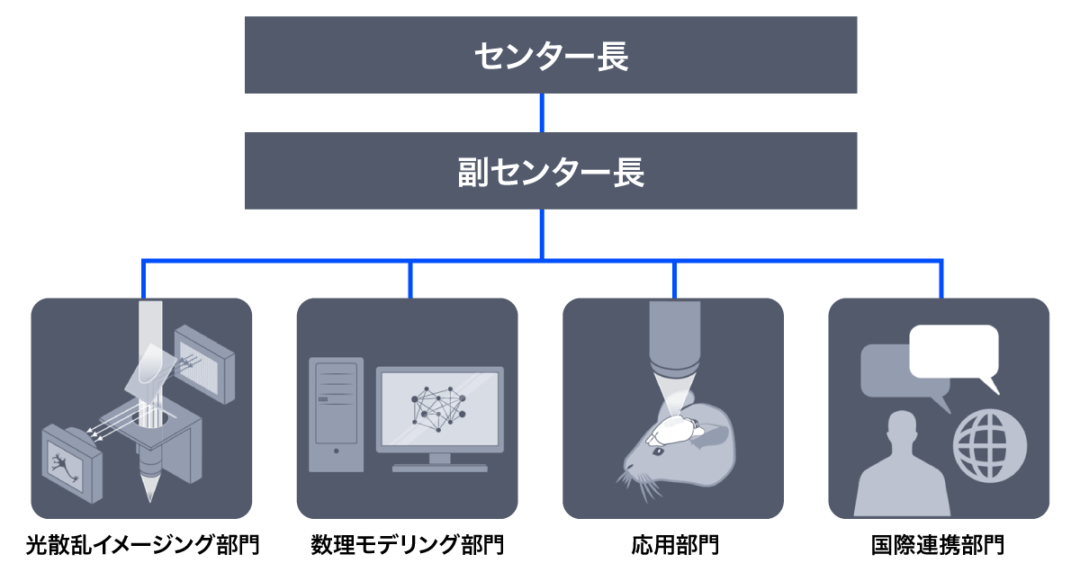 組織図