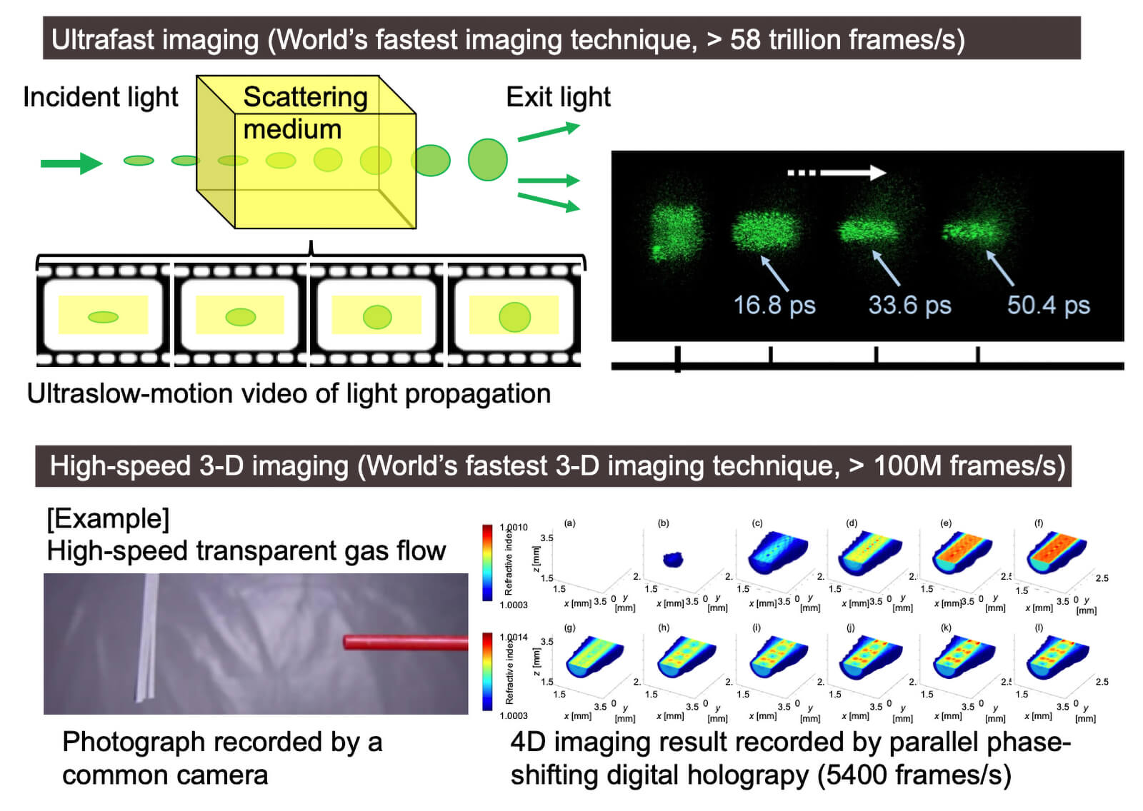 Project: Awatsuji Lab.