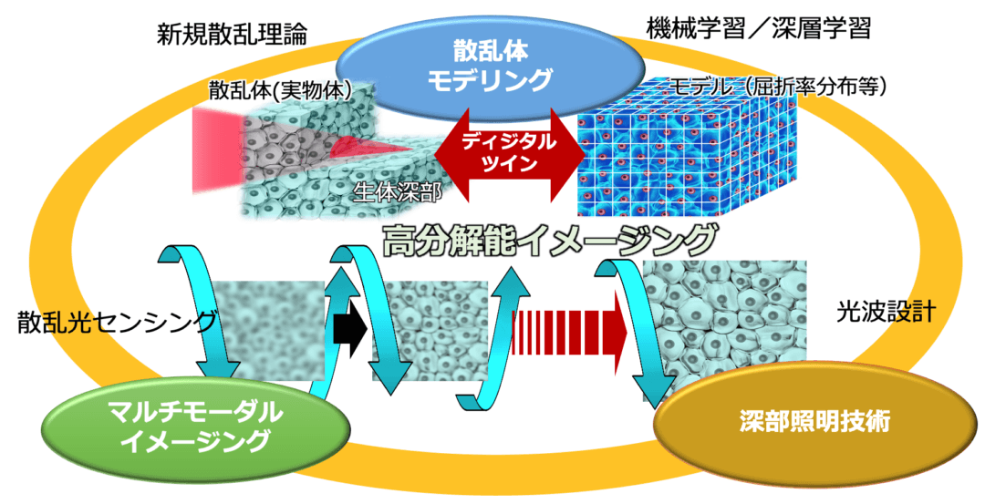 散乱透視理論の構成：散乱体構造を決定するためのマルチモーダルセンシング・イメージング技術と、そのデータに基づく散乱体モデリングで構成され、散乱体深部に光を届ける深部照明技術により、奥深くの散乱体構造を決定していく。