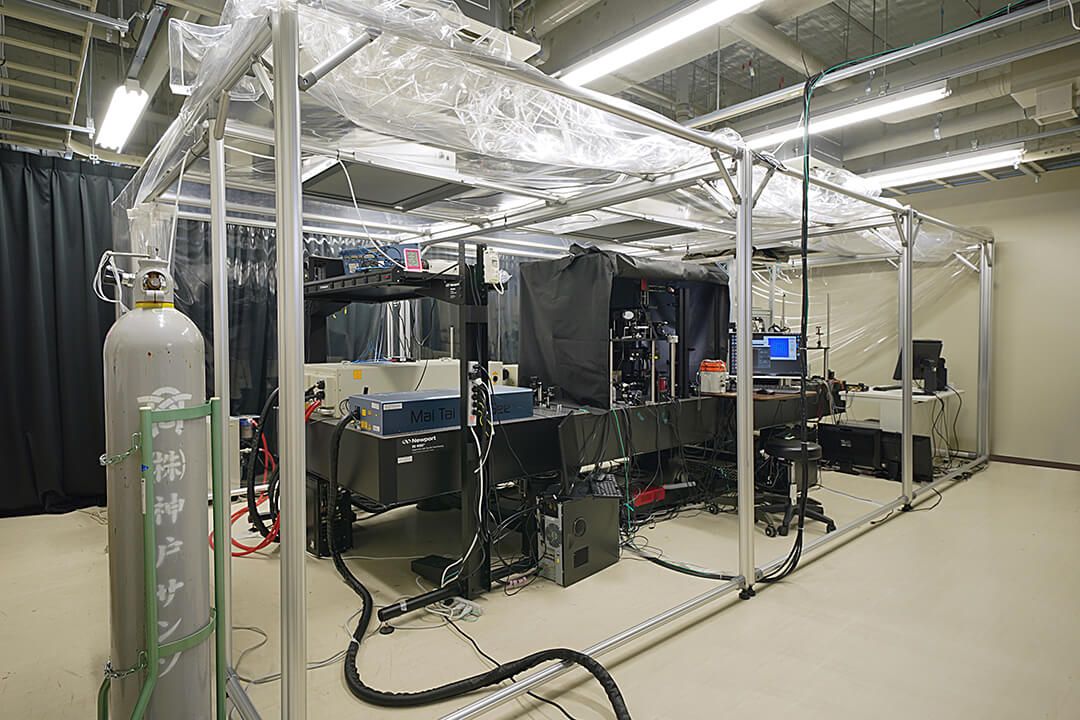 Two photono holographic microscope systems
